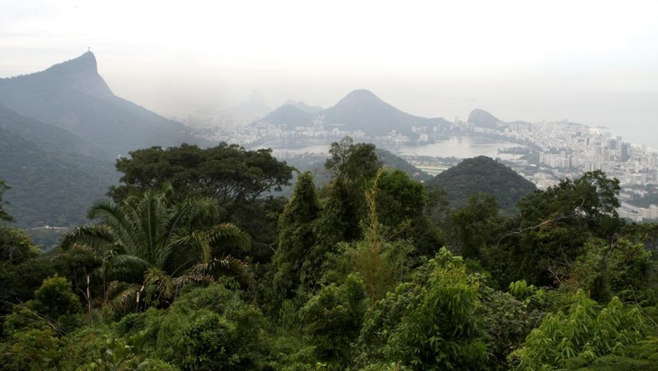 Floresta da Tijuca, no Rio, é uma das áreas já concedidas. | Aniele Nascimento/Gazeta do Povo