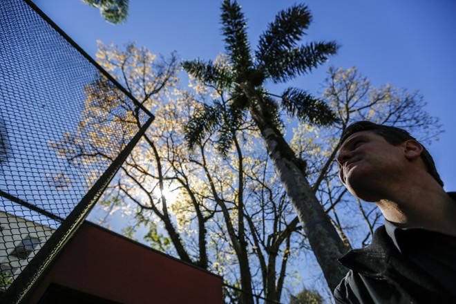  | Jonathan Campos/Gazeta do Povo