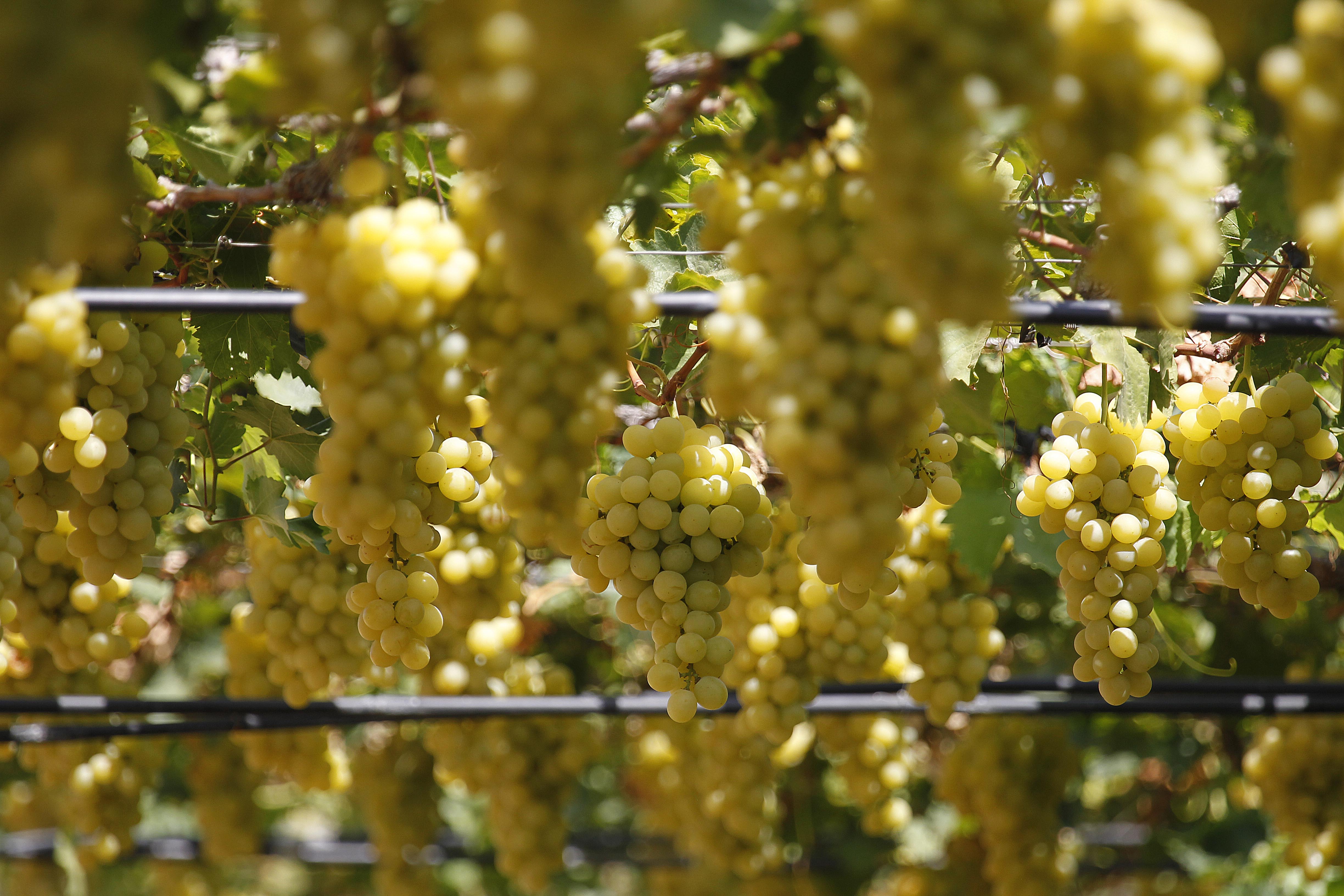 | Jonathan Campos/Gazeta do Povo