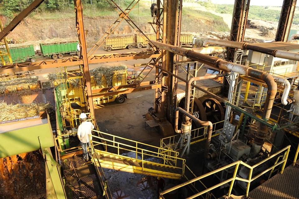 O Brasil deve passar a produzir de 60 milhões de toneladas de cana-de-açúcar em 2015 para 1 bilhão de toneladas em 2030 | Fábio Dias/Fábio Dias