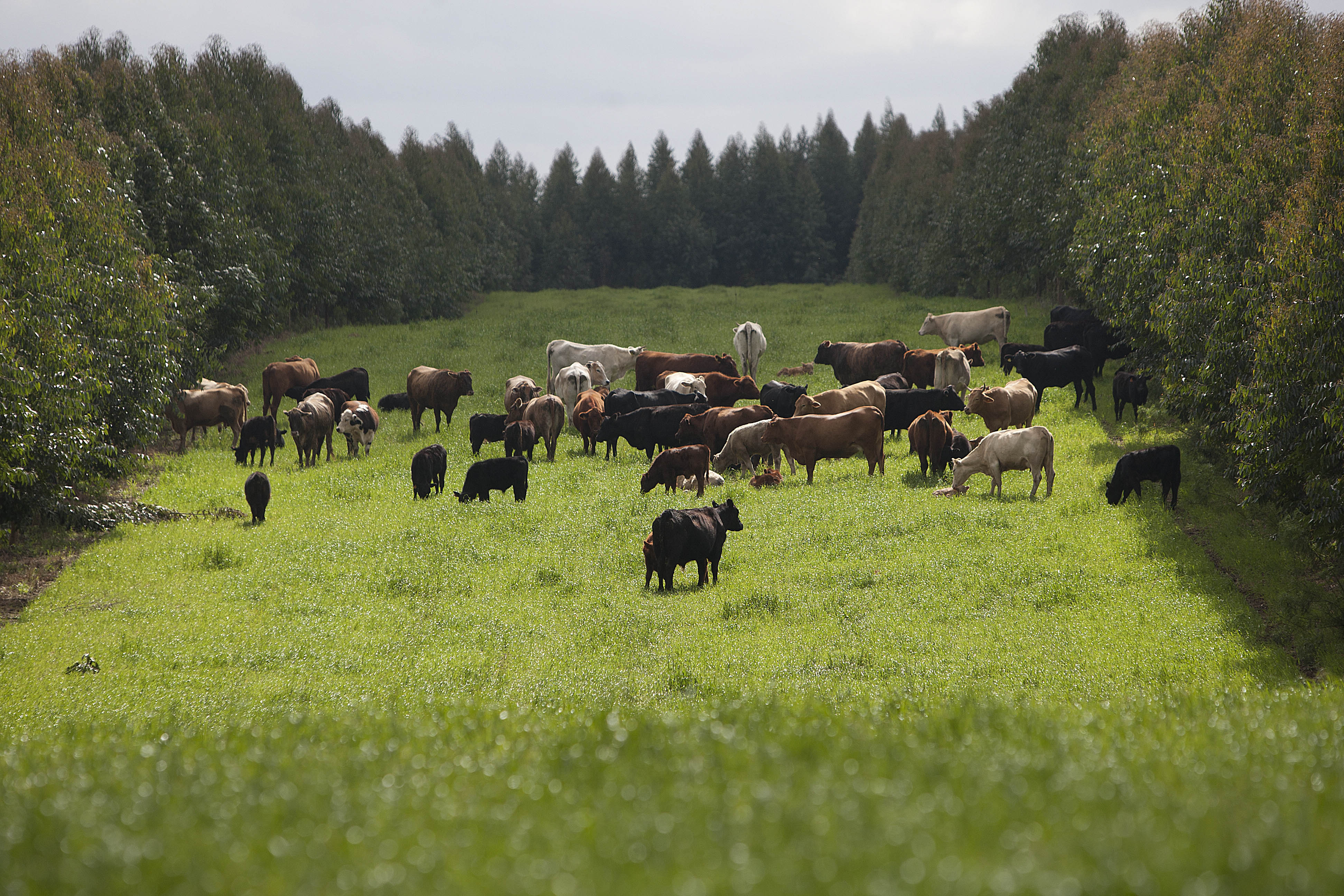 | JONATHAN CAMPOS/JONATHAN CAMPOS