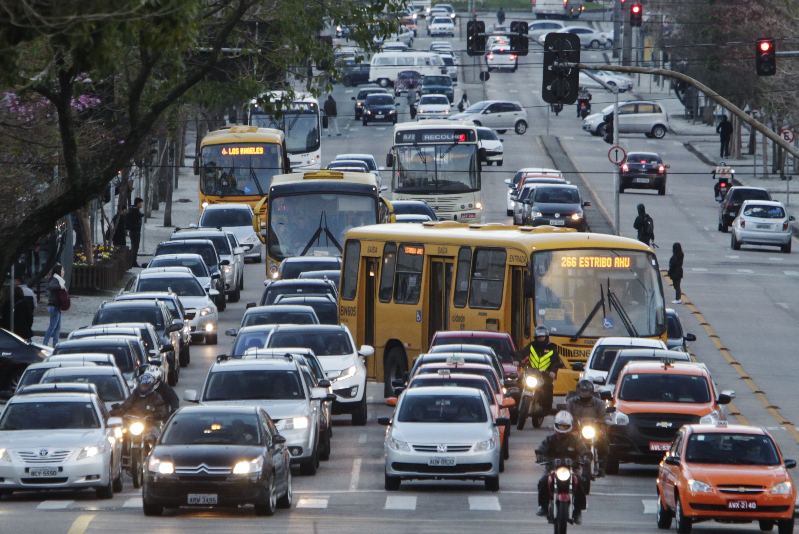  | Daniel Castellano / Gazeta do Povo