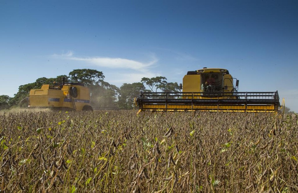 O “Plano Agro +” inclui, entre outros pontos, a revisão de regras de certificação fitossanitárias e o fim da reinspeção nos portos e carregamentos vindos de unidades do Serviço de Inspeção Federal | Hugo Harada/Gazeta do Povo