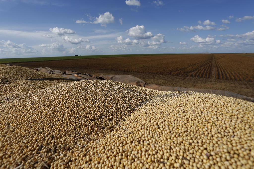 Em 2014, melhor ano do seguro agrícola no Brasil, a contratação de 117.600 apólices cobriu uma área agrícola de 9,91 milhões de hectares com importância segurada de R$18,5 bilhões. | /