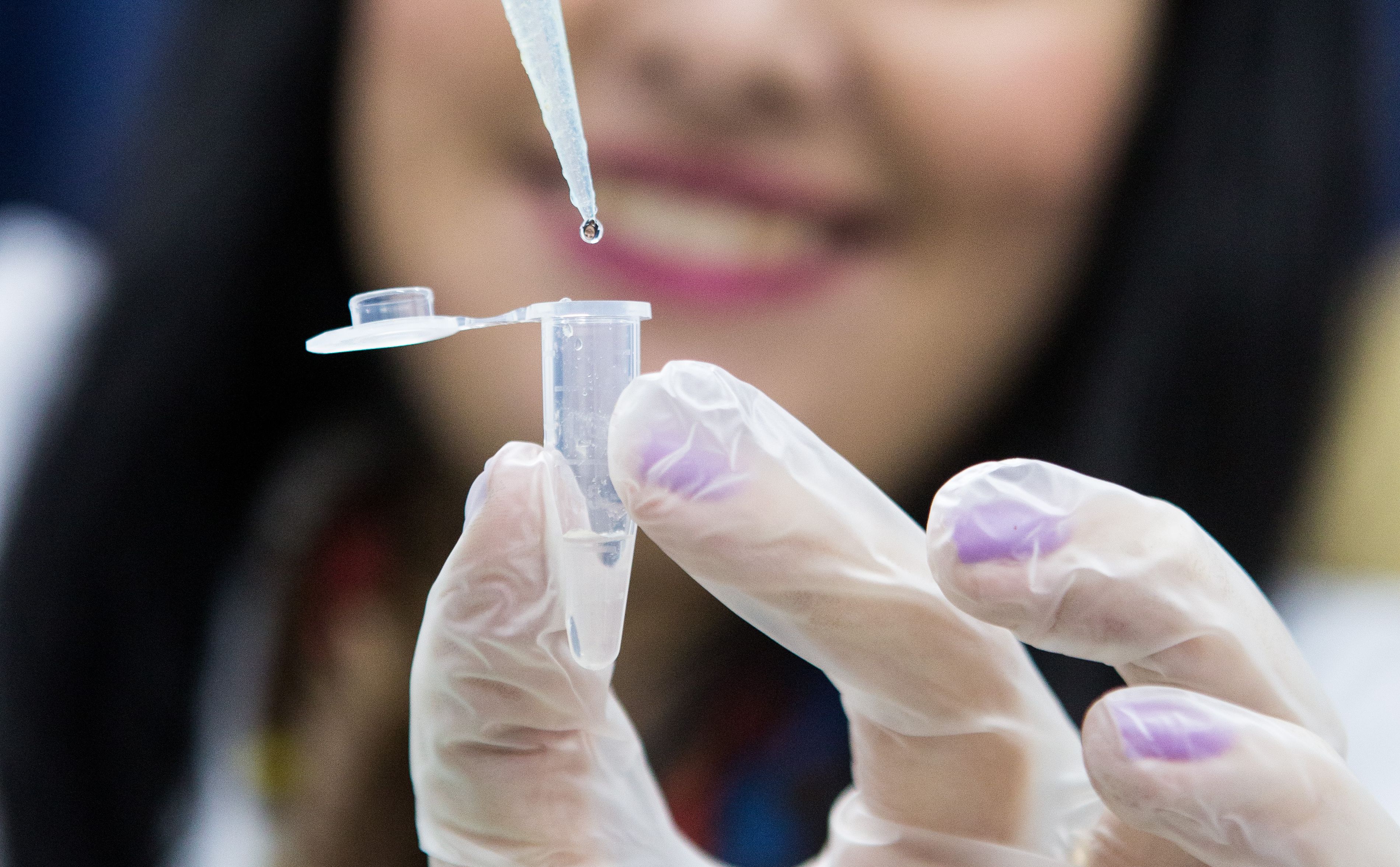  | Brunno Covello /Arquivo Gazeta do Povo