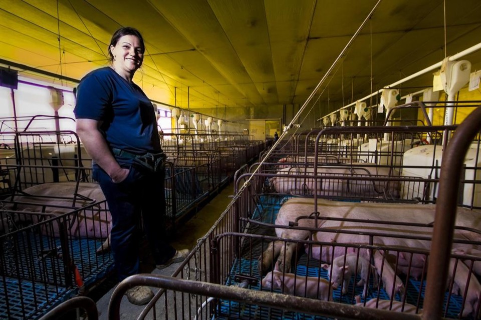 Melânia Perazzoli é quem cuida do dia-a-dia da granja, que abriga três estruturas diferentes separadas por poucos quilômetros de distância | Lineu Filho/Gazeta do Povo / Lineu Filho