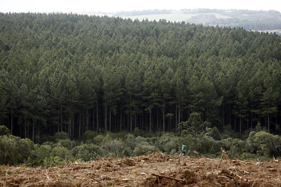 A ideia é dar mais segurança jurídica aos investidores, sem prejuízo à proteção ambiental | Albari Rosa/Gazeta do Povo