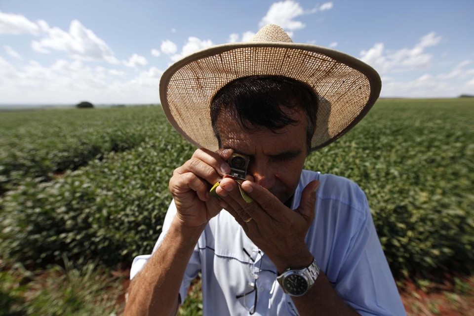 Vagas para agrônomos e técnicos agrícolas variam de R$ 1.041 a R$ 3.410 | JONATHAN CAMPOS/JONATHAN CAMPOS