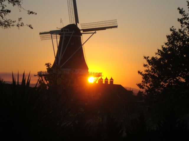 | Reprodução/Internet