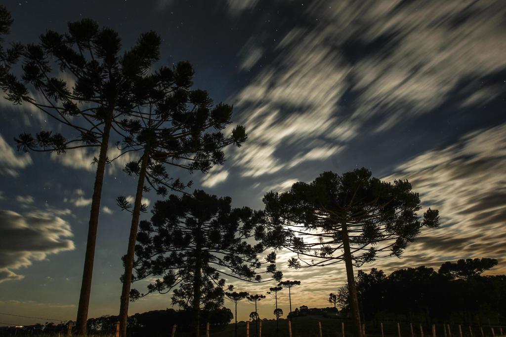  | Daniel Castellano/Gazeta do Povo