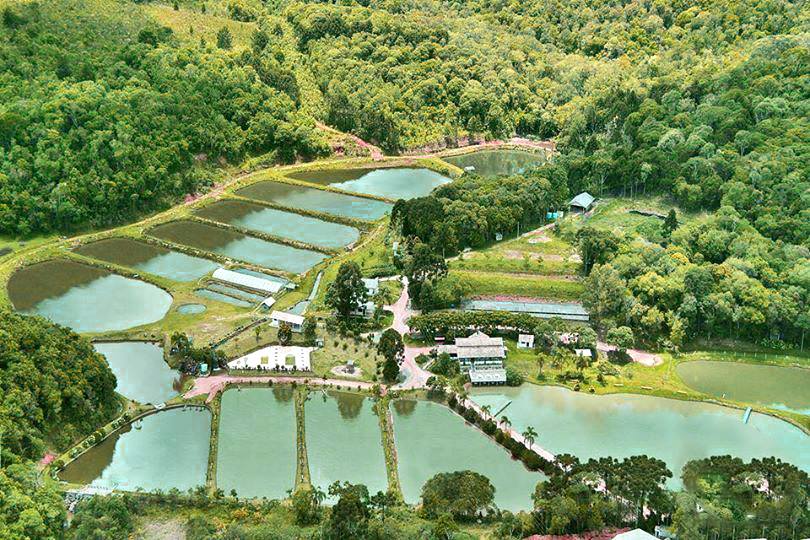 A pescaria é um esporte que apresenta inúmeros benefícios para o corpo e também para a mente | Reprodução/Internet