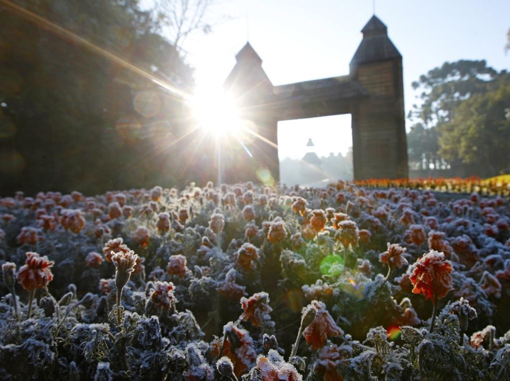 O problema maior é com a geada, especialmente para o trigo