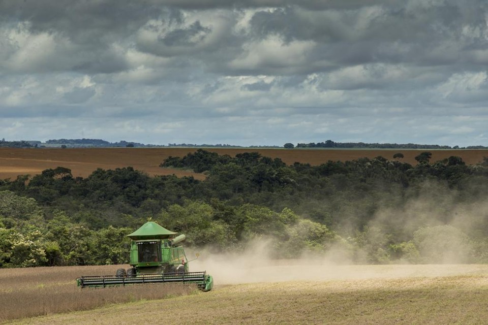 A produção da safra de soja registrou um recuo de 0,2% em comparação à safra do ano passado | Hugo Harada/Gazeta do Povo