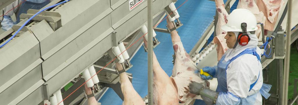 Empresa, considerada um modelo de integração entre cooperativas, foi criada com 60% de investimento das cooperativas e 40% dos próprios suinocultores | Hugo Harada/Gazeta do Povo