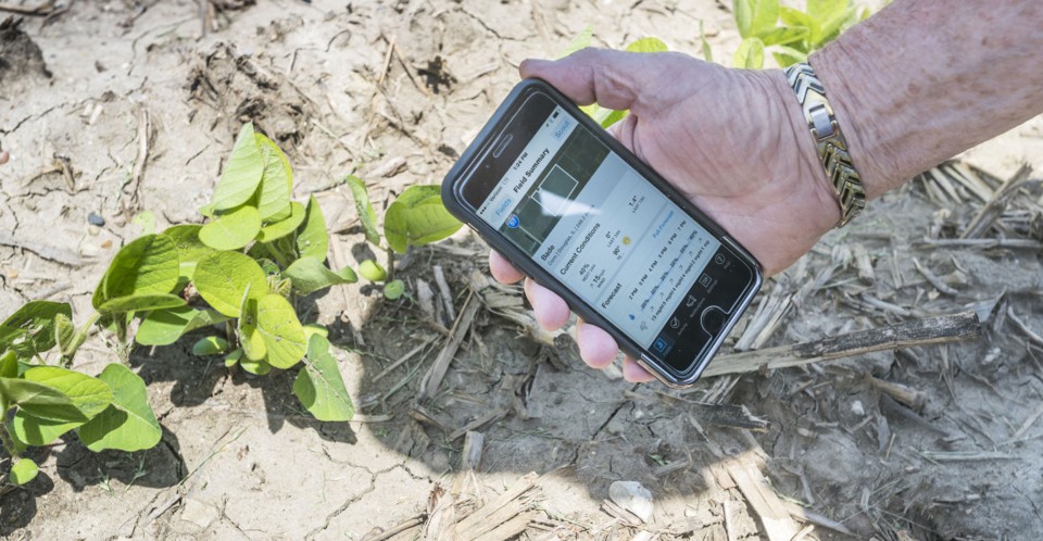 Climate Field View: a plataforma faz todo o levantamento da propriedade rural e transmite informações em tempo real para os produtores, do plantio à colheira. | Divulgação/