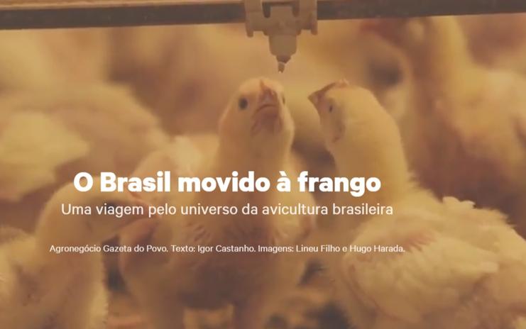 | Reprodução/Internet