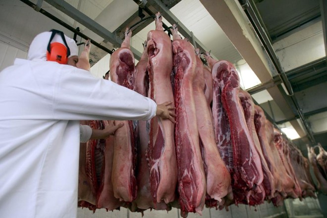 Brasil tem mercado interno para dobrar consumo per capita de carne suína | DANIEL CASTELLANO/Agência de Notícias Gazeta do Povo