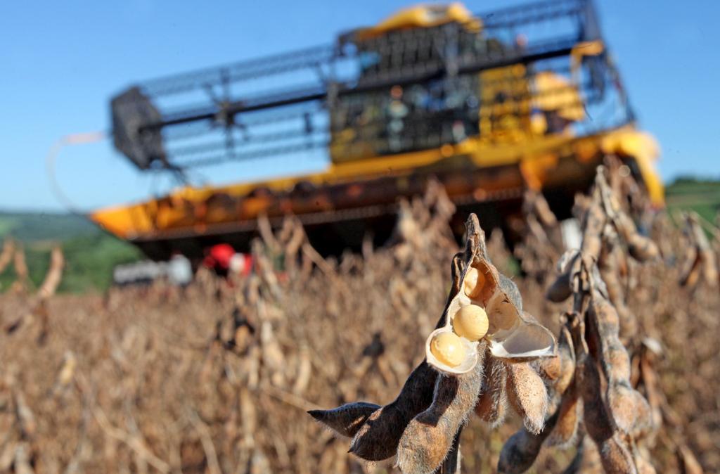 O governo federal decidiu realocar R$ 48 milhões do seguro rural da safra de 2016/17, inicialmente destinados às culturas de inverno, para o grupo de grãos de verão | DIRCEU PORTUGAL/GAZETA DO POVO