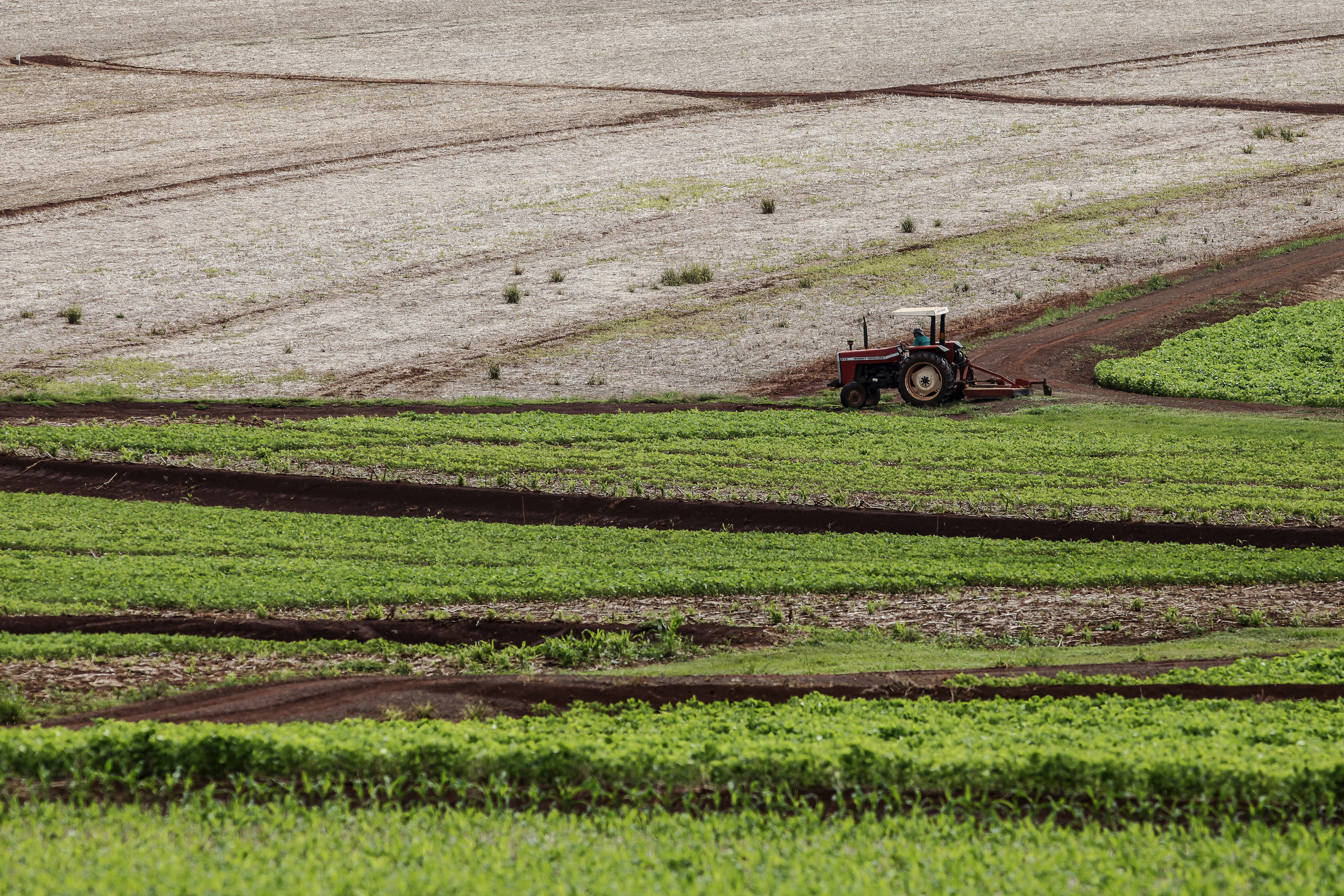  | André Rodrigues/Gazeta do Povo