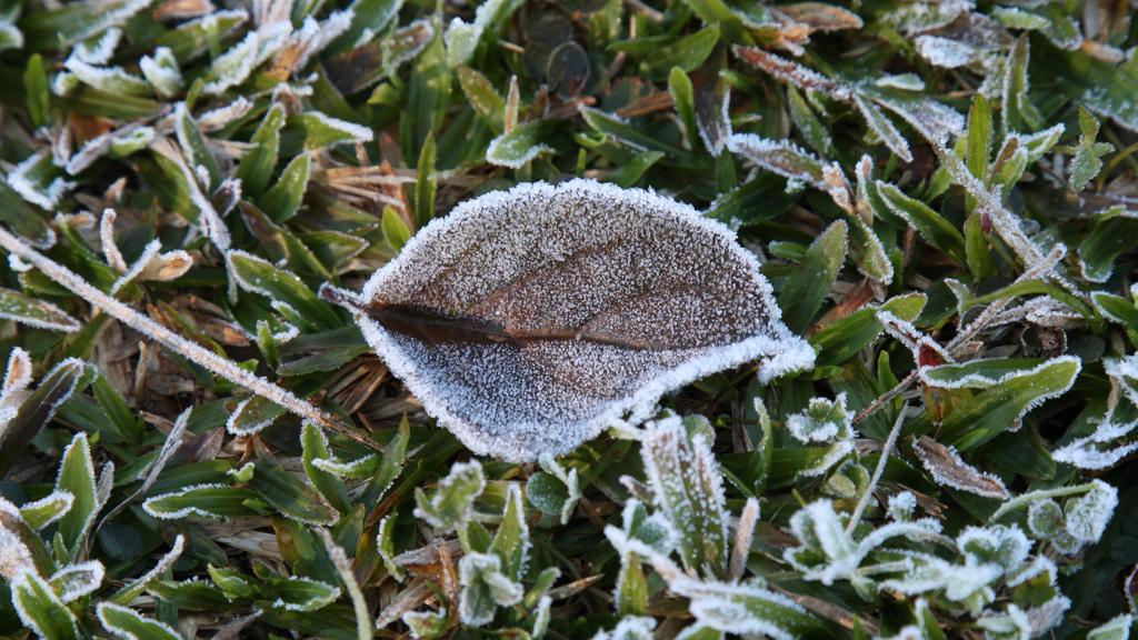 Hoje e amanhã vai fazer frio, muito frio. | Aniele Nascimento/Gazeta do Povo