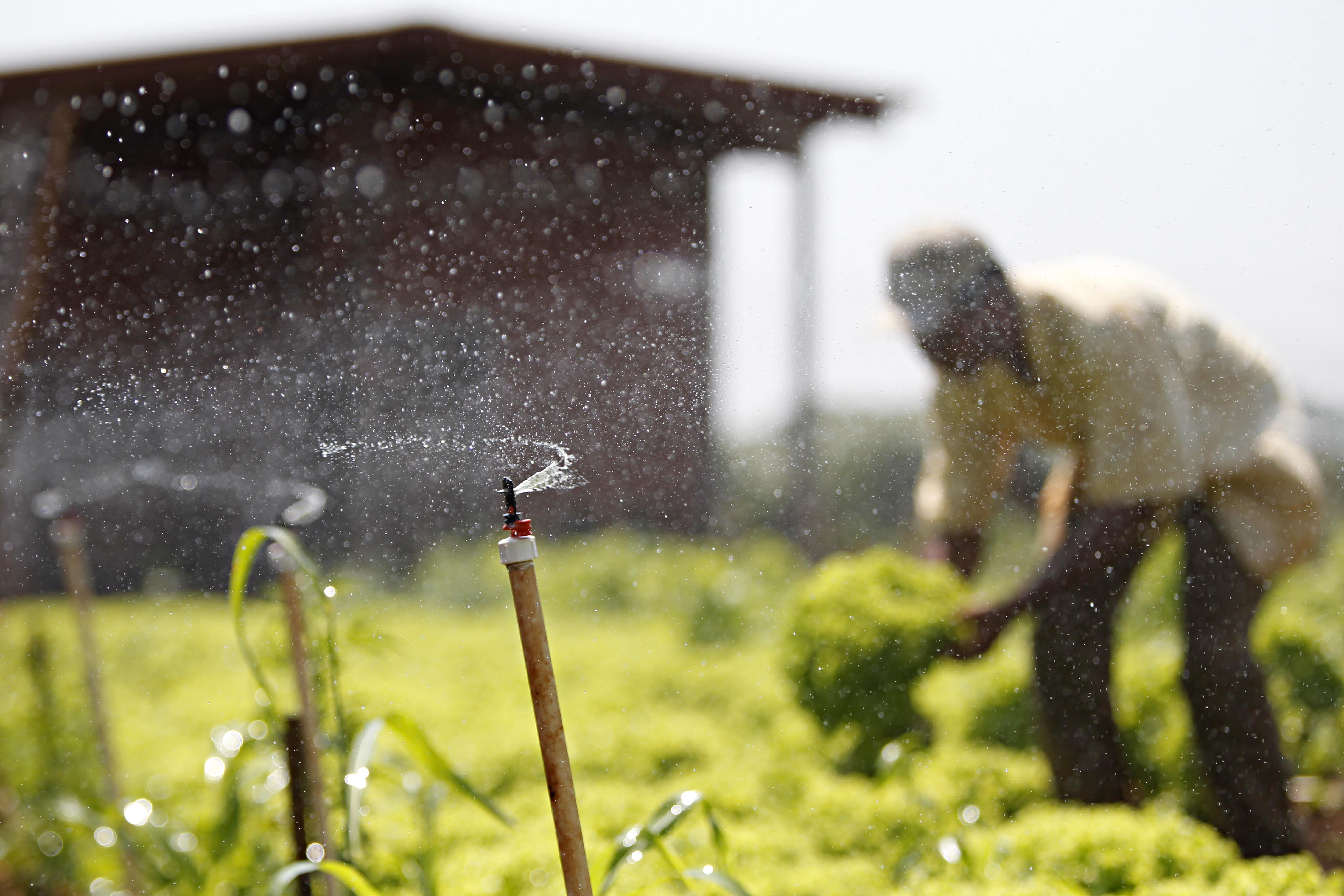  | Jonathan Campos/Gazeta do Povo