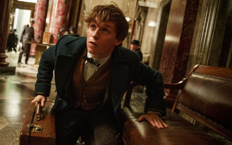 Eddie Redmayne interpreta pesquisador que escreveu guia usado por Harry e seus amigos. | /Divulgação