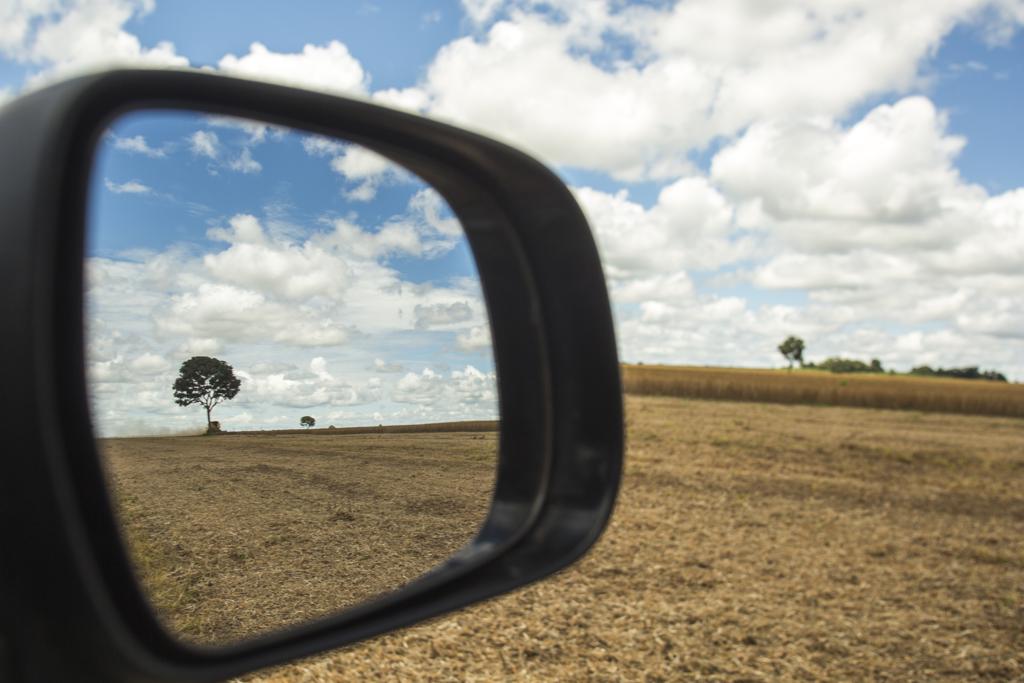 Serão selecionados 90 bolsistas de 13 países, incluindo o Brasil. | Marcelo Andrade/Marcelo Andrade / agencia de not