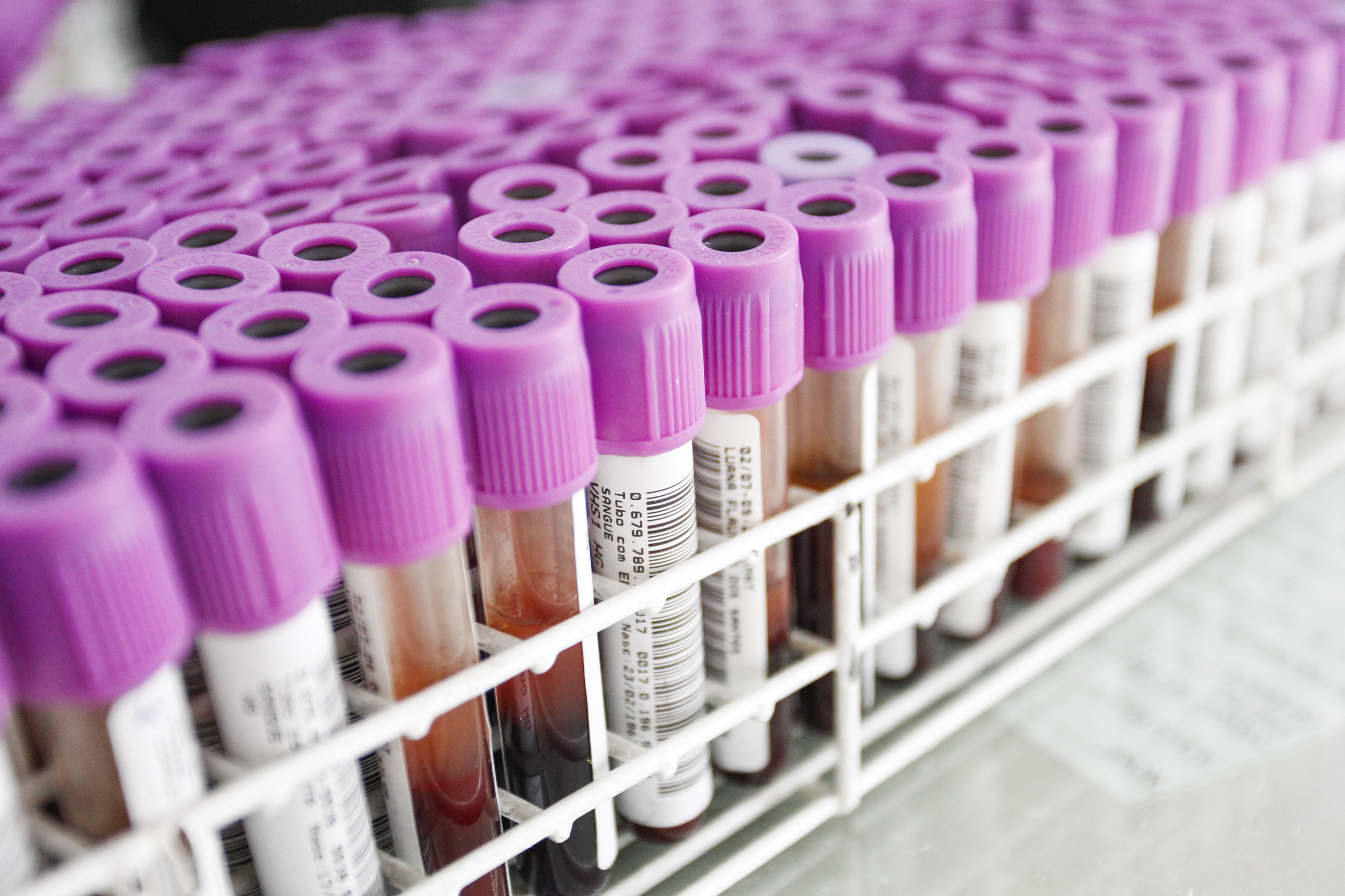 | Daniel Castellano/Gazeta do Povo