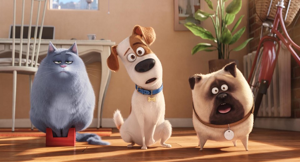 “Pets” imagina o que animais podem fazer enquanto seus donos estão fora de casa | Divulgação