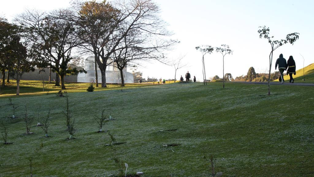 Gramados devem amanhecer brancos nesta quarta (7), principalmente no Sudoeste e no extremo Sul | Aniele Nascimento/Gazeta do Povo