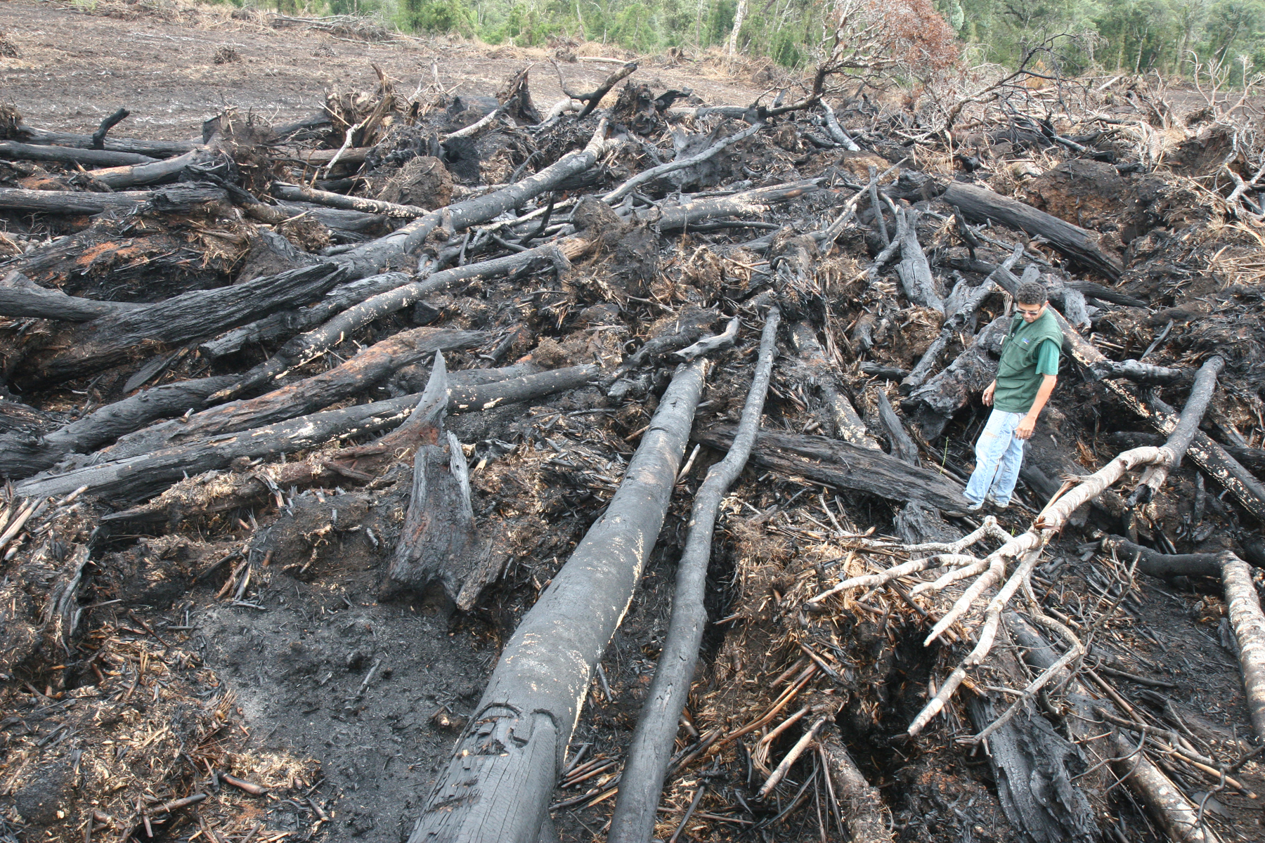 | Henry Milleo/Gazeta do Povo/Arquivo
