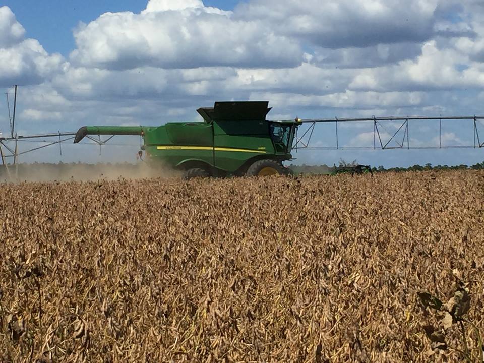 Agricultor é do estado da Geórgia, nos Estados Unidos, um dos polos produtores de grãos no país. | Reprodução/Internet