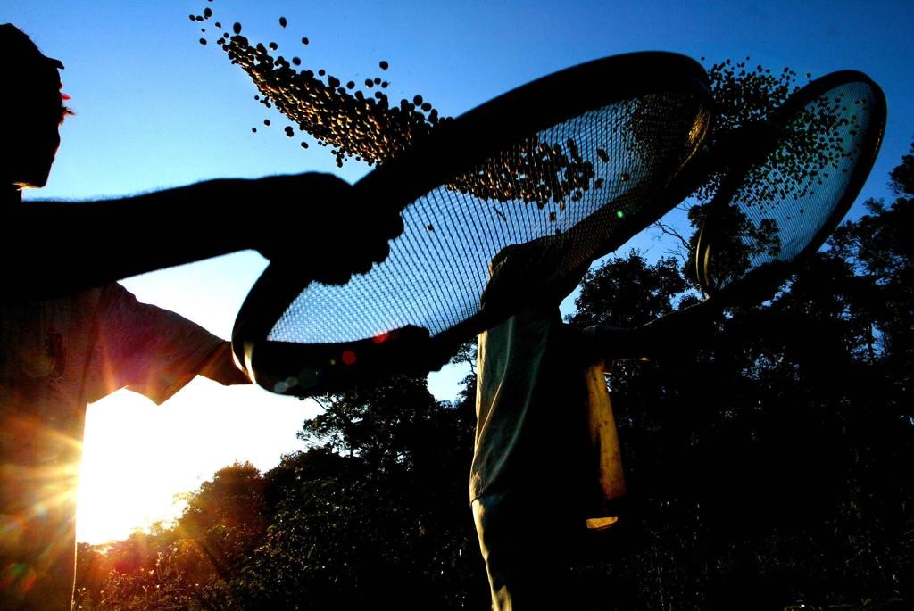 Quando as doações forem todas recebidas, o hospital venderá o produto e usará o dinheiro em seu custeio e no pagamento de servidores.