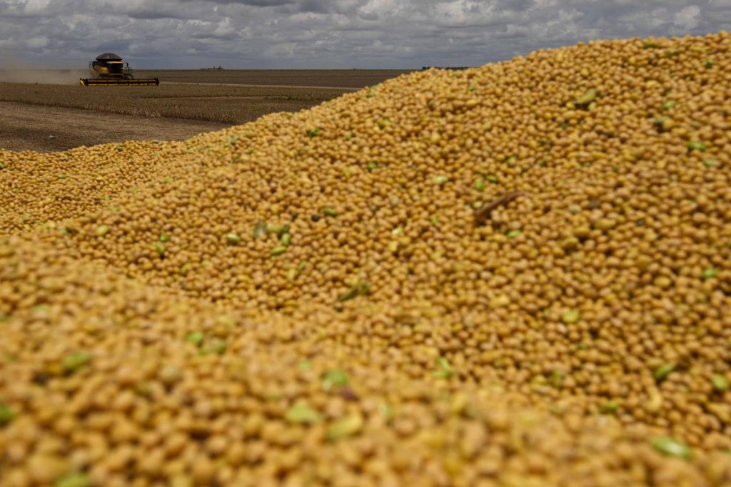 | JONATHAN CAMPOS/GAZETA DO POVO