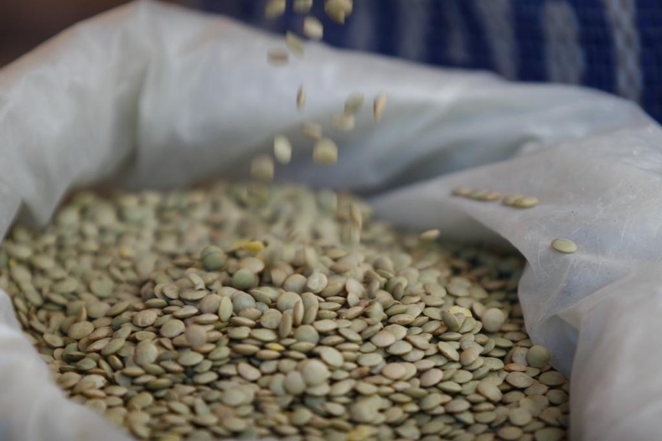Segundo o ministro, a UPL firmou ainda parceria com a Empresa Brasileira de Pesquisa Agropecuária (Embrapa) para desenvolvimento de variedades de lentilha a serem cultivadas no Brasil. | Arquivo/Gazeta do Povo