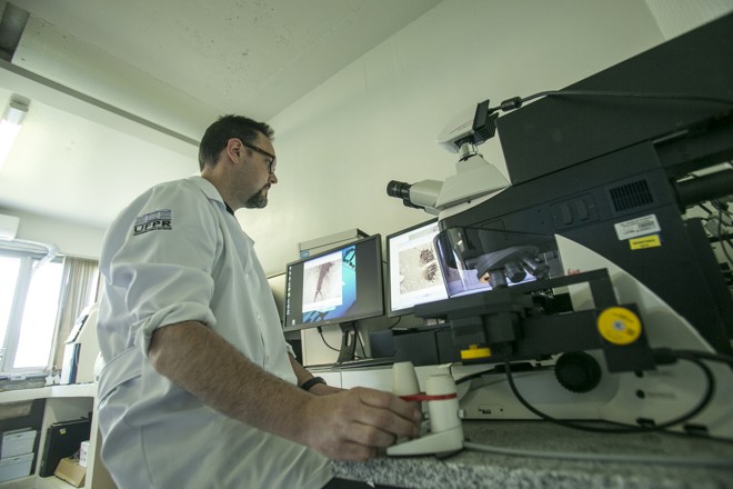 Pesquisador Marcelo Lima: ativação do núcleo oculomotor pode indicar fase inicial da doença. | Marcelo Andrade/Gazeta do Povo