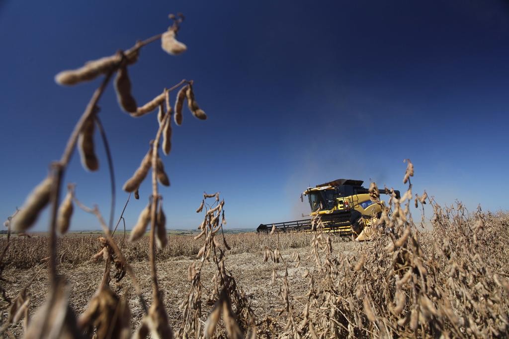 Soja foi o grande destaque e puxou o VBP de 2015 no Paraná, informou nesta quarta-feira (14) o governo do estado