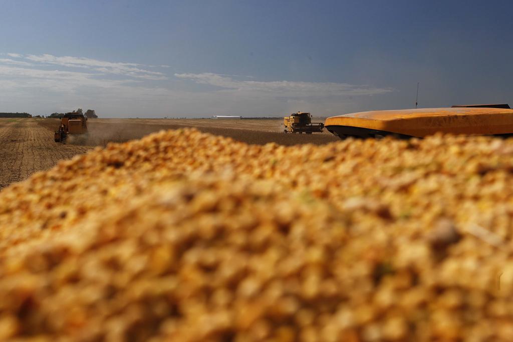 Para o IBGE, a queda no PIB se deve pela redução dos índices de produtividade das principais culturas agrícolas devido aos problemas climáticos durante a safra de verão | Jonathan Campos/Gazeta do Povo