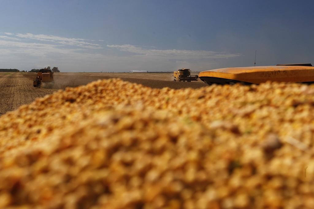 Para o IBGE, a queda no PIB se deve pela redução dos índices de produtividade das principais culturas agrícolas devido aos problemas climáticos durante a safra de verão