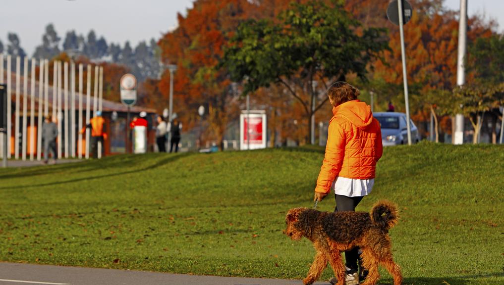  | Antônio More/Gazeta do Povo
