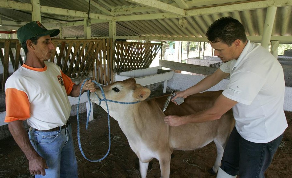 No caso da agropecuária, o rendimento médio mensal para quem está começando é superior a R$ 7 mil. | Valterci Santos / Agência de Notícias Gazeta do Povo