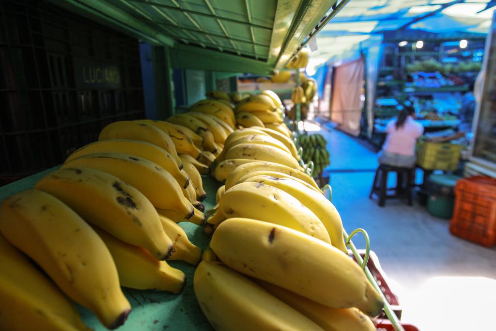 O Brasil ocupa a terceira posição como maior produtor da fruta – são sete milhões de toneladas por ano, com participação de 6,9% no total do planeta. | Daniel Castellano/Gazeta do Povo