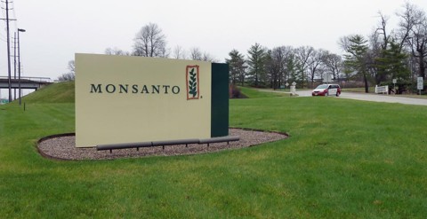 Bayer confirma compra da Monsanto | JULIETTE MICHEL/AFP