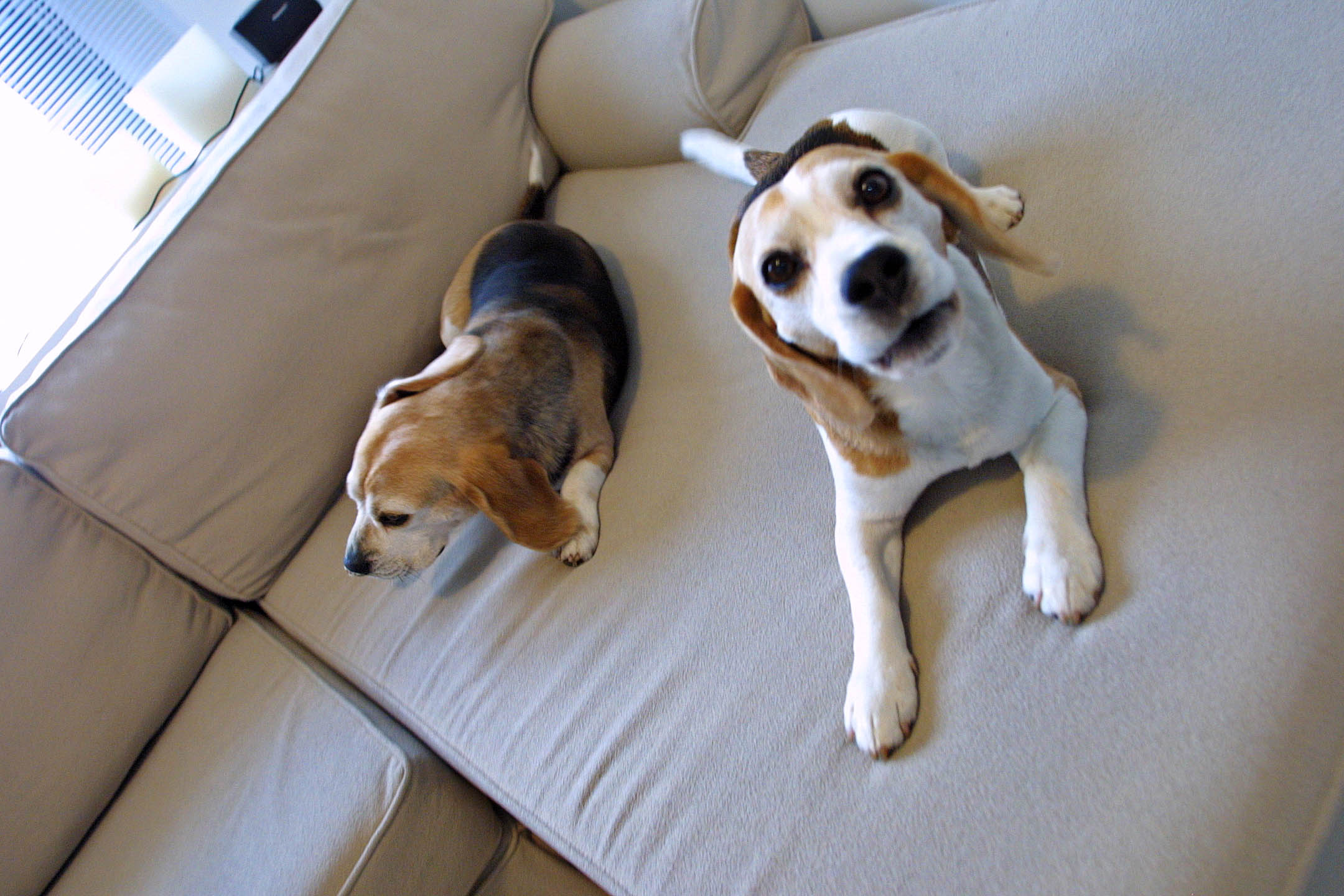 | Priscila Forone/Gazeta do Povo/Arquivo/