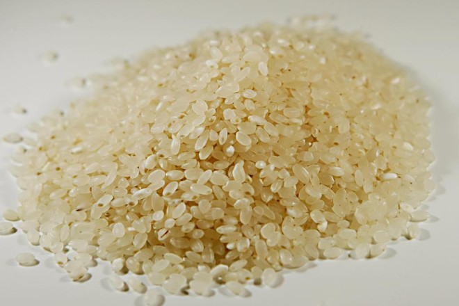A Embrapa lançou a “BRS 358”, cultivar de grão curto e com baixo teor de amilose – qualidade que o deixa mais pegajoso após o cozimento | ALBARI ROSA/ALBARI ROSA