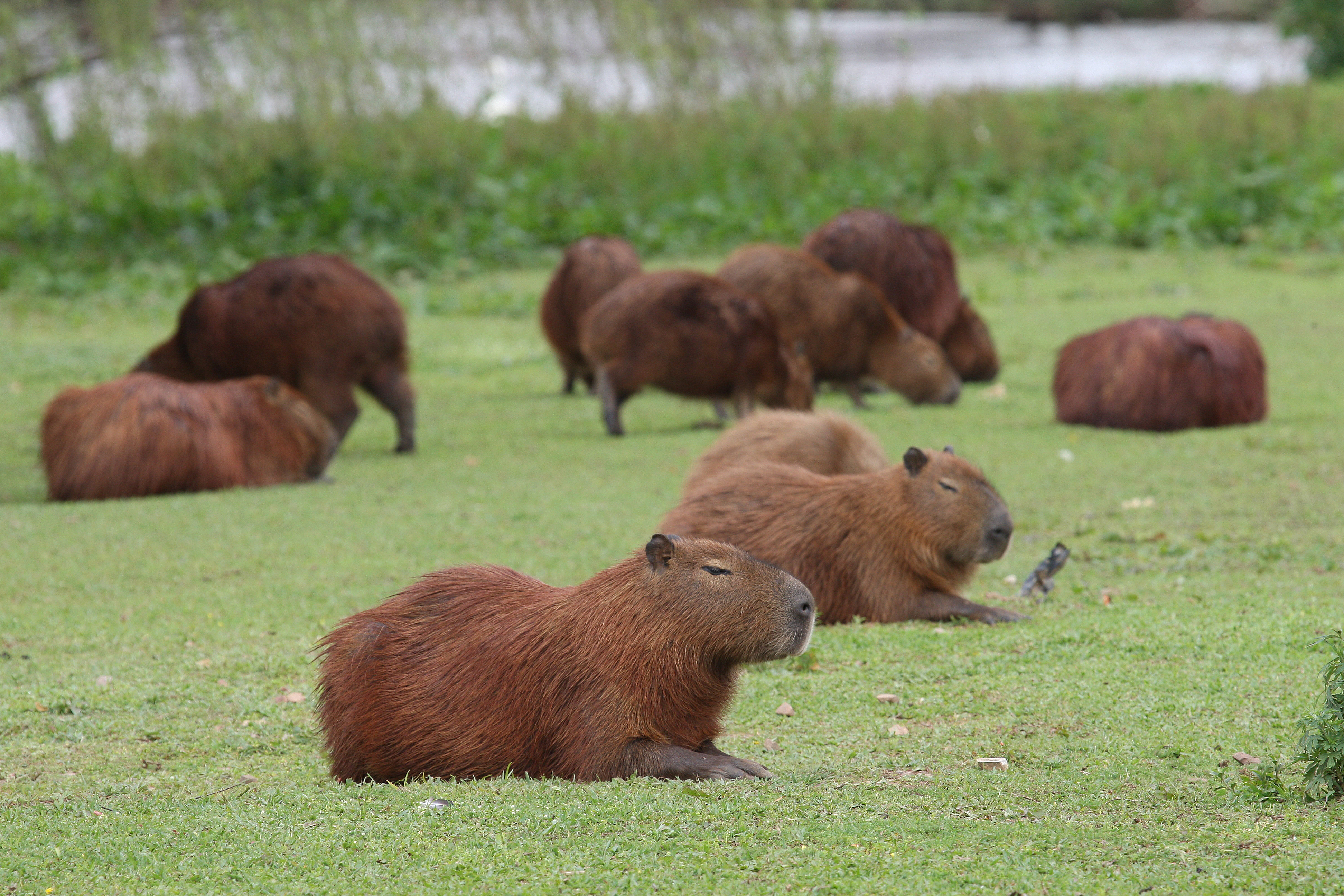 | Aniele Nascimento/Gazeta do Povo