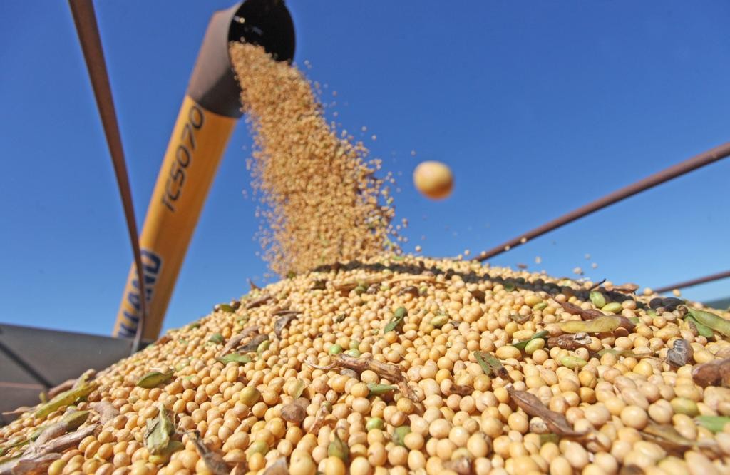 Caso esse volume de produção seja confirmado, ele será 14% superior ao obtido na safra de verão 2015-2016 quando foram colhidas 20,2 milhões de toneladas