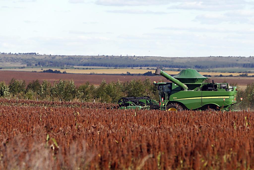 Agora, os produtores cobertos pelos dois programas terão de pagar um adicional de 2% a 6,5% do valor financiado para fazer o seguro da lavoura. | Albari Rosa/Gazeta do Povo