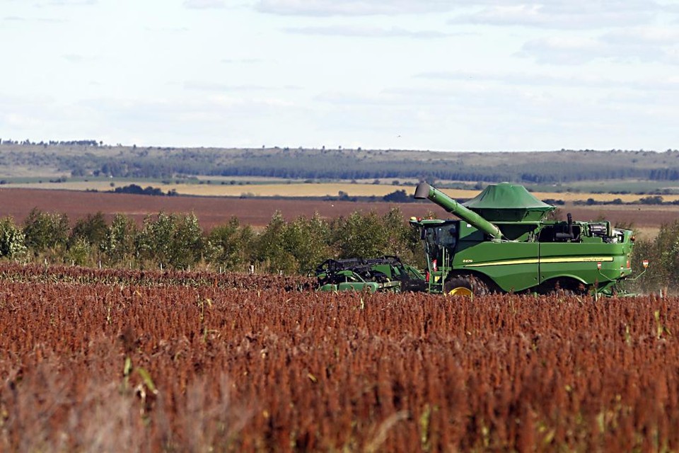 Agora, os produtores cobertos pelos dois programas terão de pagar um adicional de 2% a 6,5% do valor financiado para fazer o seguro da lavoura. | Albari Rosa/Gazeta do Povo