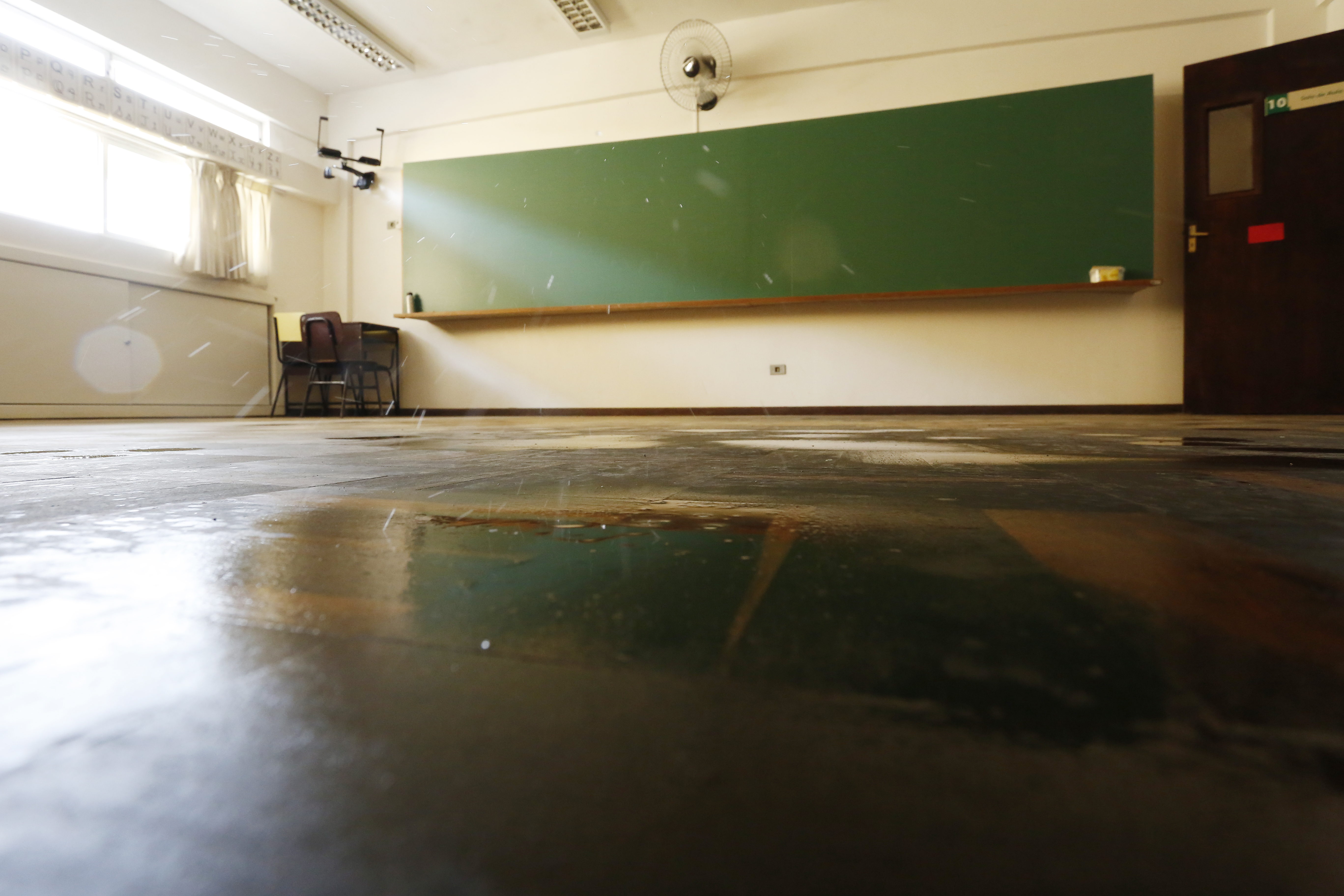  | Henry Milleo/Gazeta do Povo